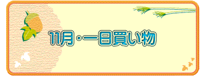 １１月・一日買い物